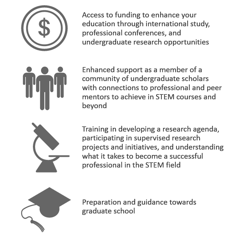 Access to funding, enhanced support, research training, and preparation towards graduate school.